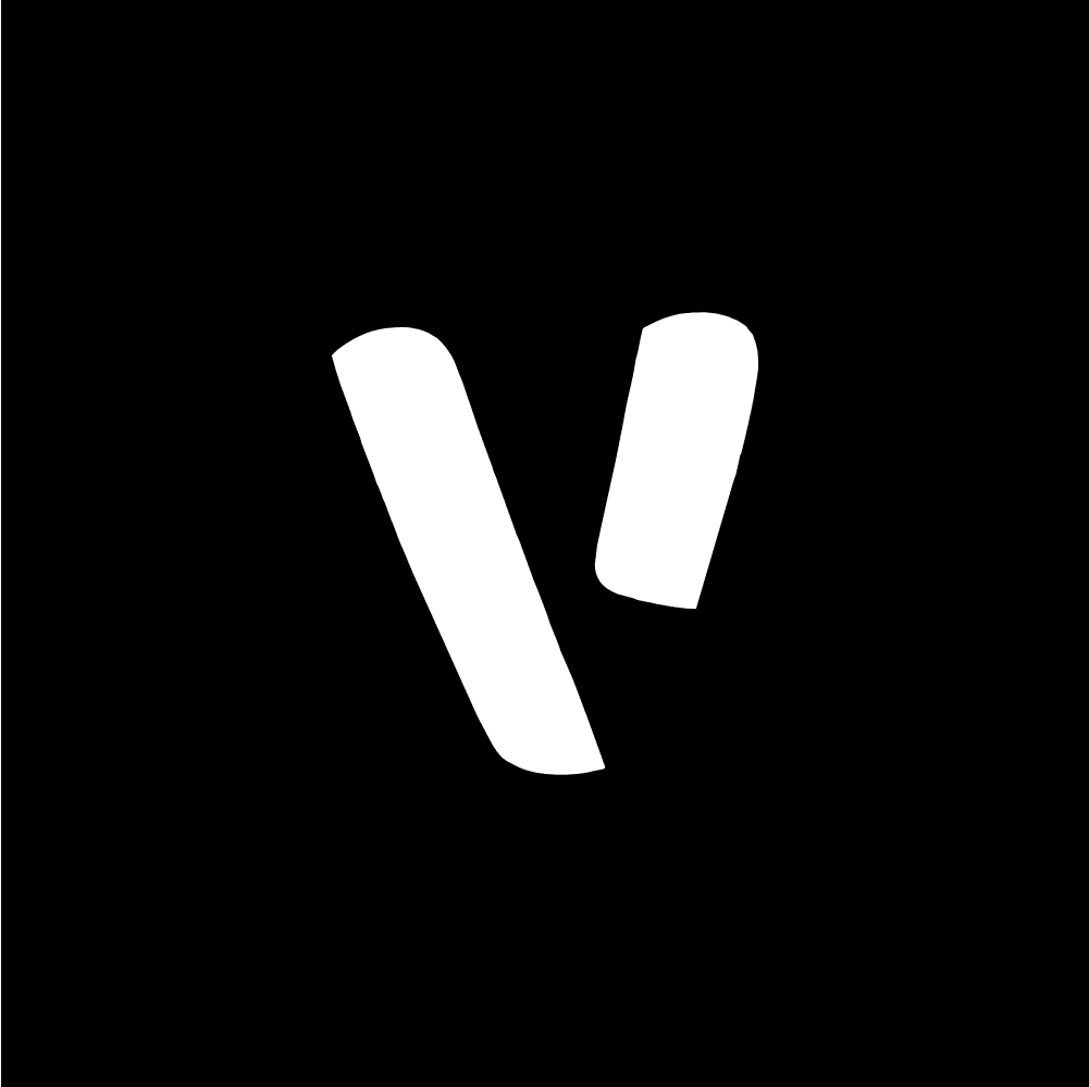 Viitpay